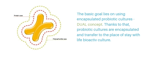 The viability of the bacteria is preserved through the Dual Coating Technology. They are therefore protected from external influences during storage and production processes, as well as from gastric acid during 'wandering' of the digestive tract. By doing so they get into the intestine alive and in good shape.